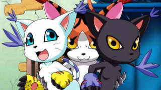 Digimon porno – Gatomon en celo