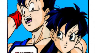 Cómic XXX gratis en DBZ con Gohan y Videl desnuda