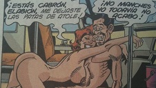Fotonovela porno Microbusero 17